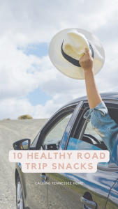 10 healthy road trip snacks for adults, calling tennessee home, the tennessee mom