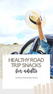 10 healthy road trip snacks for adults, calling tennessee home, the tennessee mom