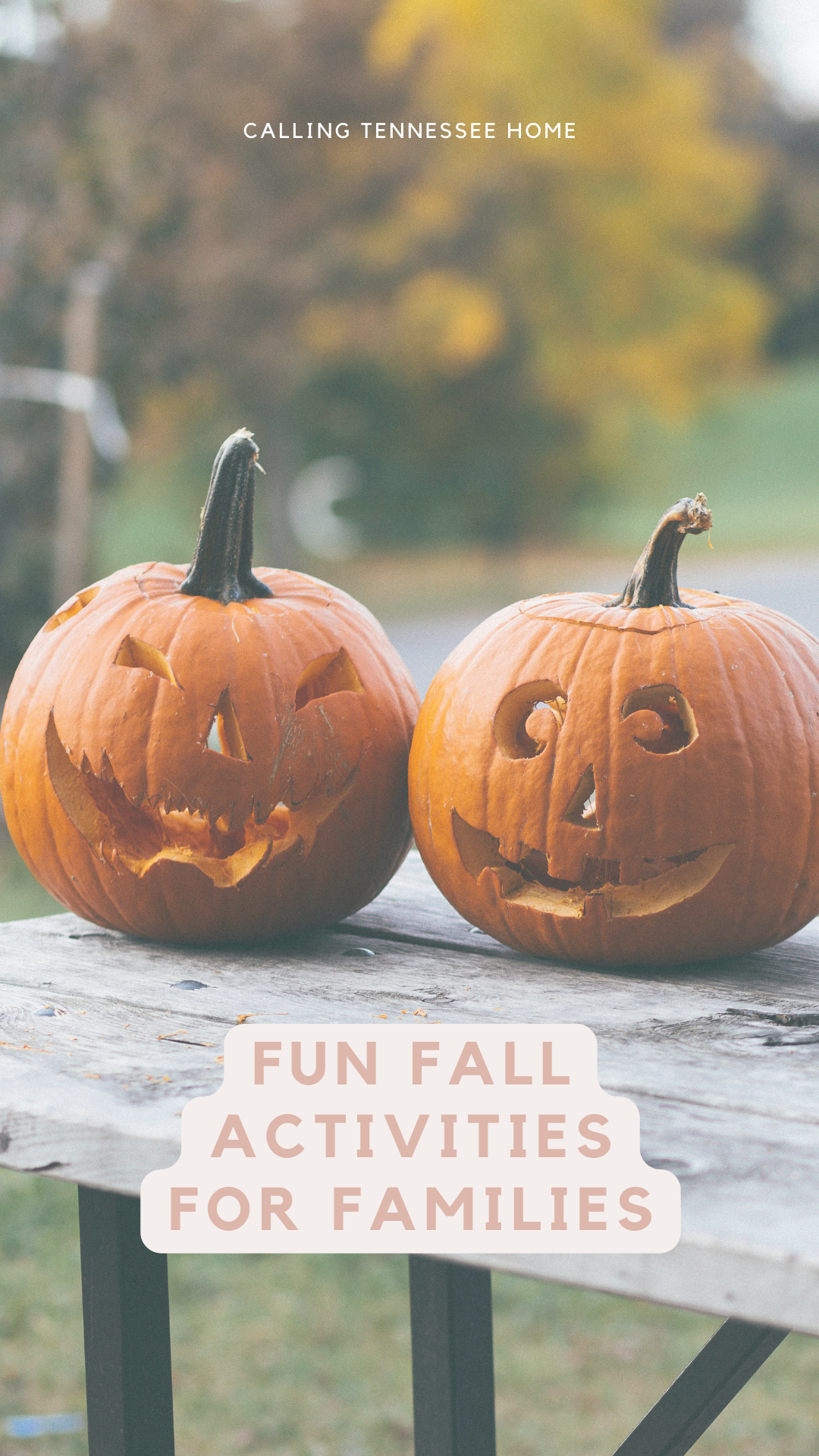 fall bucket list, family friendly fall bucket list ideas, calling tennessee home