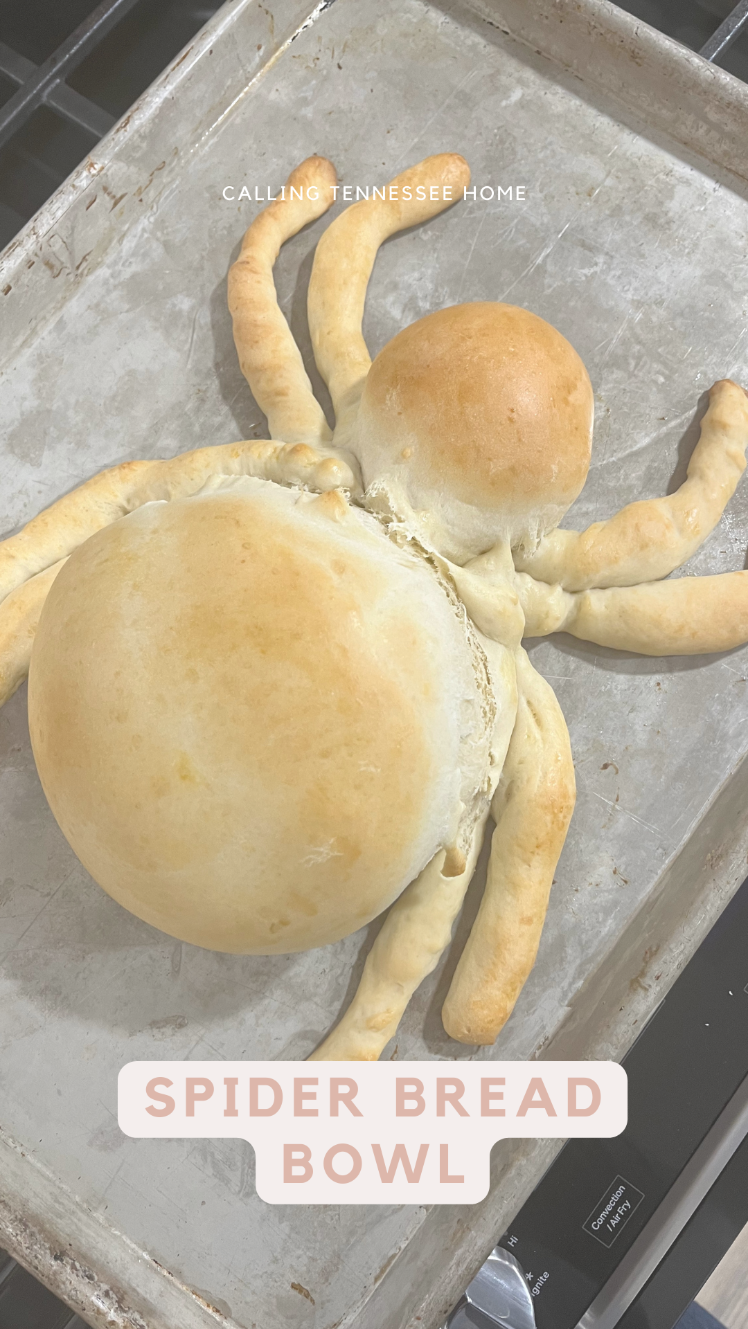 spider bread dip bowl, fun food for halloween, calling tennessee home