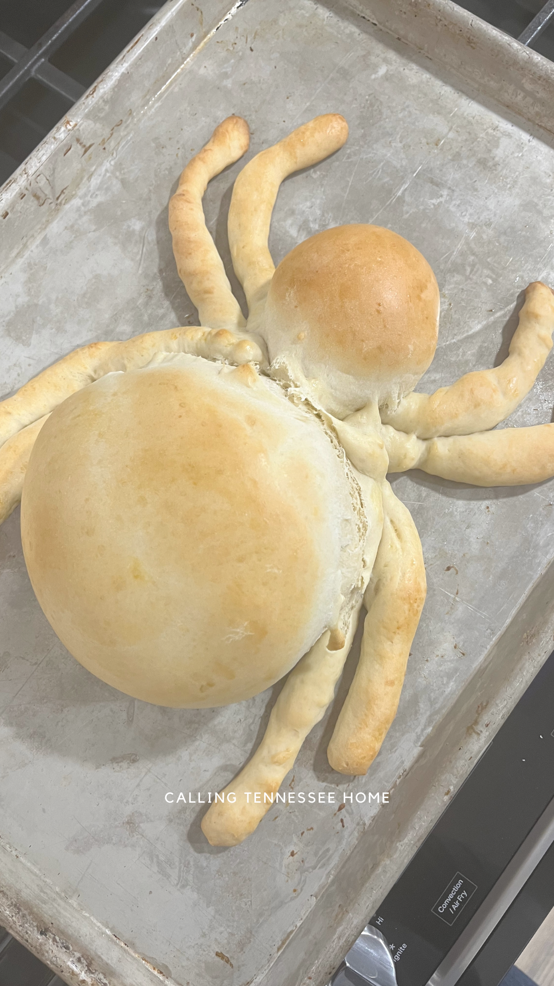 spider bread dip bowl, fun food for halloween, calling tennessee home
