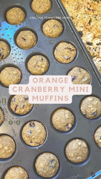 cranberry orange freezer muffin recipe, the tennessee mom