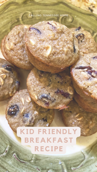 cranberry orange blender muffins recipe, calling tennessee home, kid friendly breakfast recipe