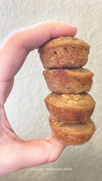 cranberry orange blender muffins recipe, calling tennessee home