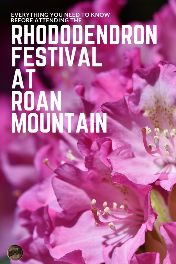 everything you need to know before attending the rhododendron festival at roan mountain, Calling Tennessee Home