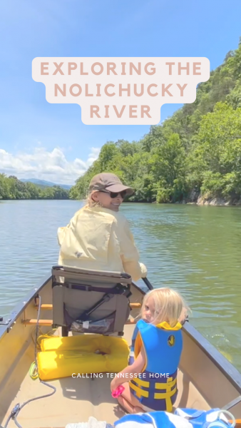 exploring the nolichucky in east tennessee, calling tennessee home, the tennessee mom