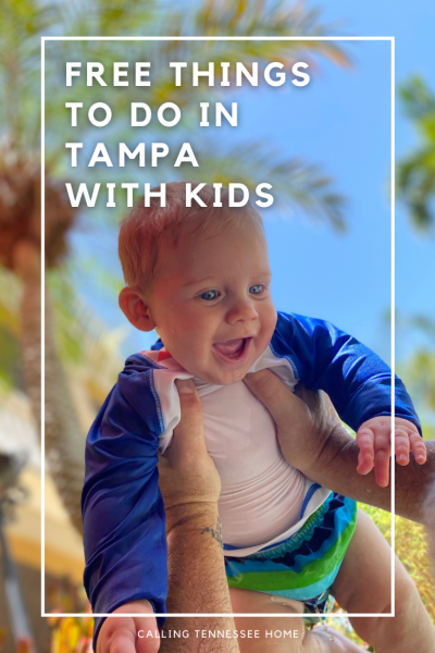 free thigns to do in tampa bay with toddlers, calling tennessee home