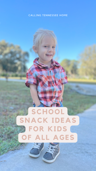 healthy back to school snack ideas for kids, calling tennessee home, the tennessee mom blog