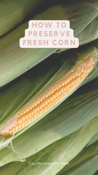 how to freeze corn on the cob, calling tennessee home, the tennessee mom