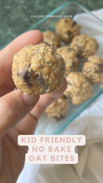 no bake oat bites recipe, chocolate chunk oatmeal energy bites, calling tennessee home