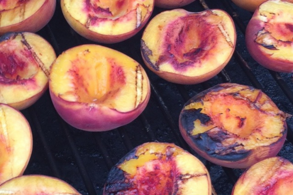 whiskey grilled peaches recipes, calling tennessee home
